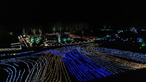 10日・東南植物楽園の光の散歩道！
